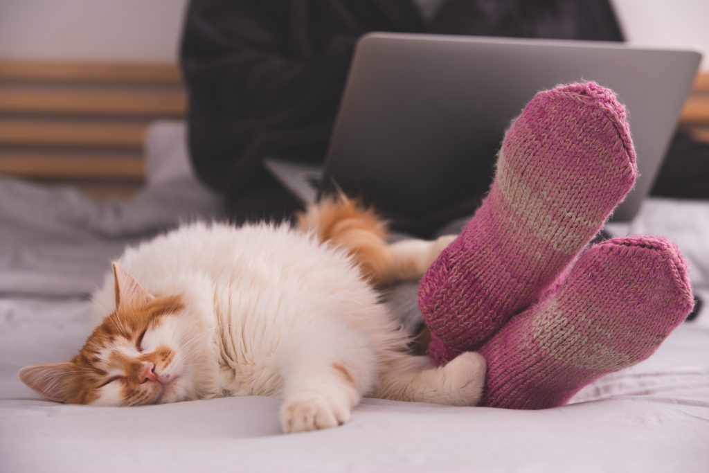 person in bed wearing cozy socks, cat by feet