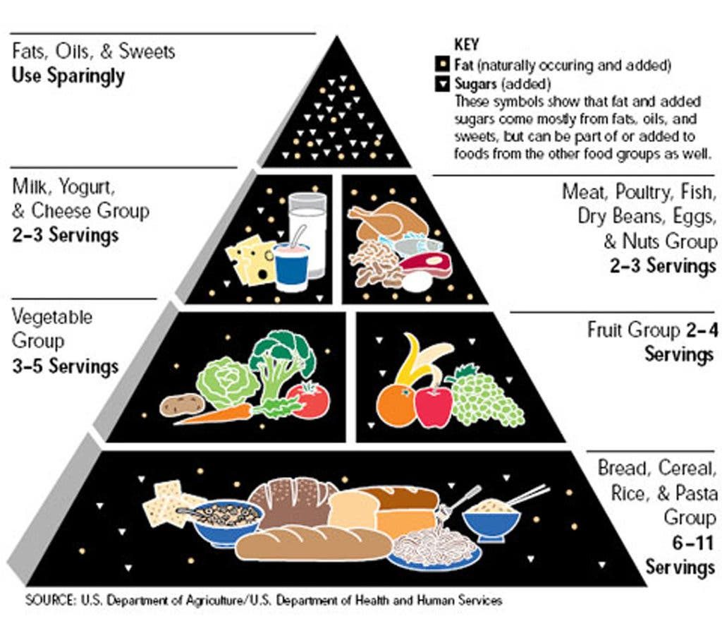 USDA food pyramid