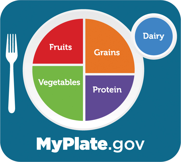 USDA MyPlate guideline image